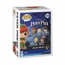 Peter Pan 70th Anniversary Peter Pan with Flute Funko Pop! Vinyl Figure 1344 thumbnail