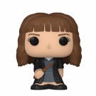 Harry Potter Bitty Pop! Mini-Figure Wave 1 thumbnail