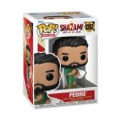 Shazam! Fury of the Gods Pedro Pop! Vinyl Figure 1282 thumbnail