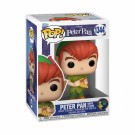 Peter Pan 70th Anniversary Peter Pan with Flute Funko Pop! Vinyl Figure 1344 thumbnail