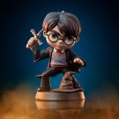 Harry Potter with Sword of Gryffindor MiniCo Vinyl Figure thumbnail