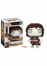 The Lord of the Rings Frodo Baggins Pop! Vinyl Figure 444 - Mulighet for chase thumbnail