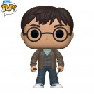 Funko Pop Exlusive Harry Potter with 2 wands Vinyl figure 118 thumbnail