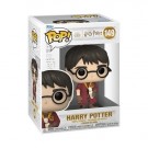Harry Potter and the Chamber of Secrets 20th Anniversary Harry Pop! Vinyl Figure 149 thumbnail