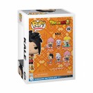 Dragon Ball Super Kale Pop! Vinyl Figure 1282 thumbnail