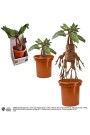 Harry Potter Interactive Plush Figure Mandrake 30 cm thumbnail
