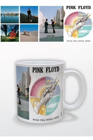 Pink Floyd Kopp Wish You Were Here