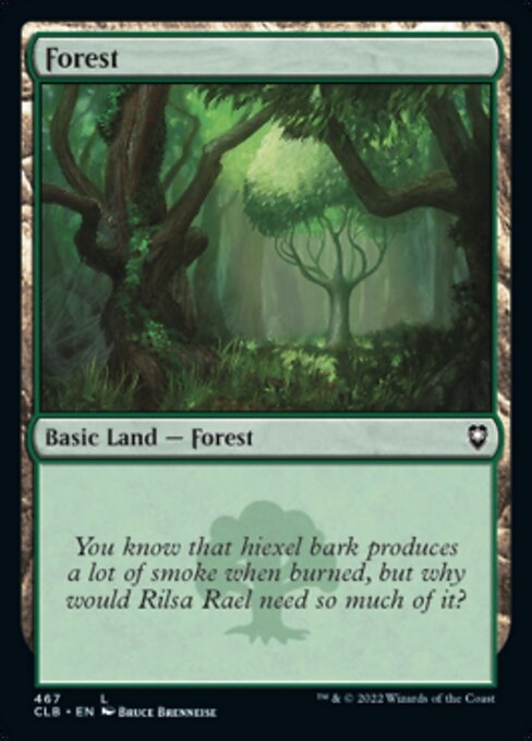 Basic Land