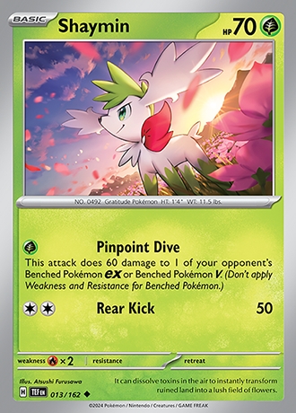 Reverse Holo